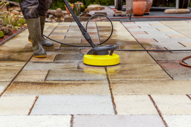 Best Animal Enclosure Cleaning  in Milan, MO